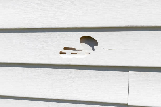 Best Siding for New Construction  in Fruitdale, CA