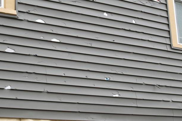 Best Steel Siding Installation  in Fruitdale, CA